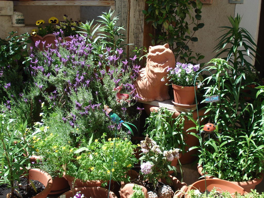 Abruzzo Segreto Bed and Breakfast Navelli Buitenkant foto