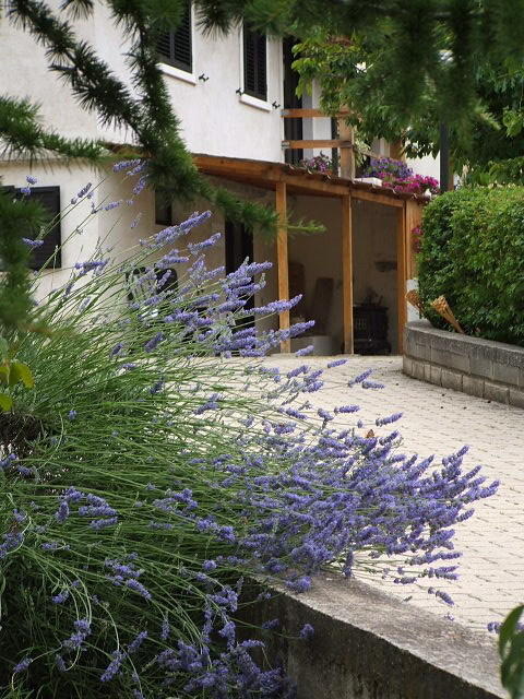 Abruzzo Segreto Bed and Breakfast Navelli Buitenkant foto